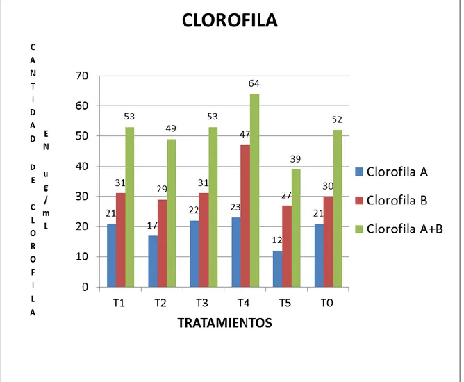 Figura 10.- Prueba de Duncan de los niveles de Clorofila A, B y A+B en la planta, a los  120 días después de la siembra de Plukenetia volubilis