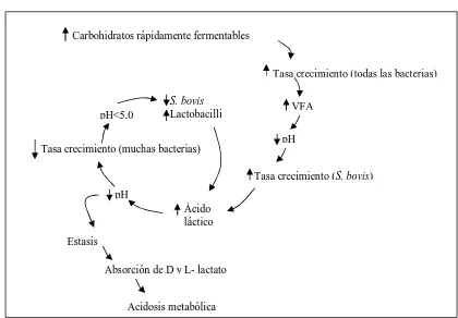 Figura 3. Relación entre pH y concentración de ácidos grasos volátiles en el rumen. Fuente: 