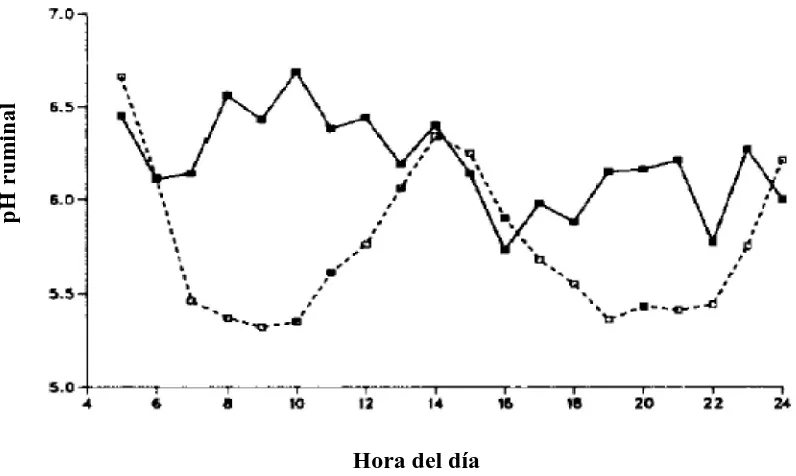 Figura 7. Efecto de la frecuencia de alimentación sobre el pH ruminal: 2 veces al día (--□--) y 