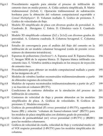 Fig.6.1 