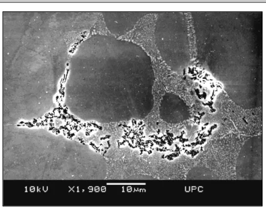Figura 8.9.  Micrografía óptica mostrando picaduras semiesféricas en el lingote de Rheocasting después de 120 h en NSA
