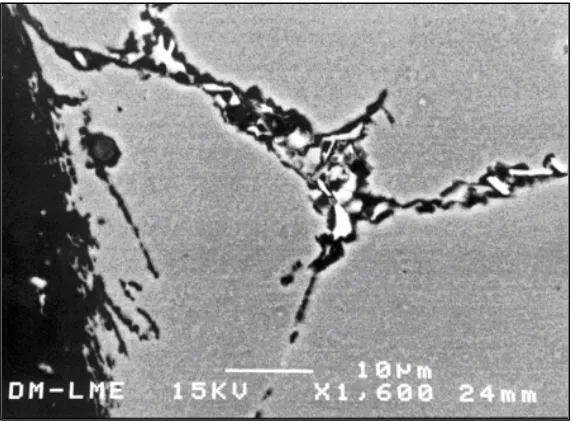 Figura 8.12.  Micrografía SEM mostrando un esferoide eutéctico atacado después de 120 h en NSA