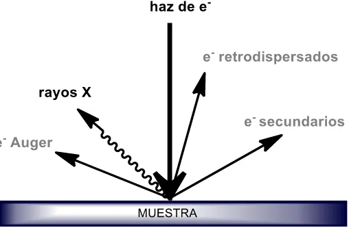 Fig. 1.6. Representación esquemática de las diferentes interacciones que podrían ocurrir cuando un electrón pasa a través de un material