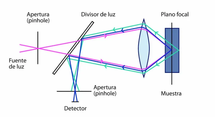 Fig. 1.7. Representación esquemática del principio de la microscopia confocal. 