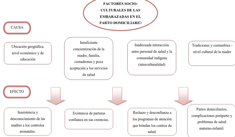 Figura 10. Relación causa-efecto del parto domiciliario en Ecuador95 . Fuente: Elaboración a partir de Montero, 2015