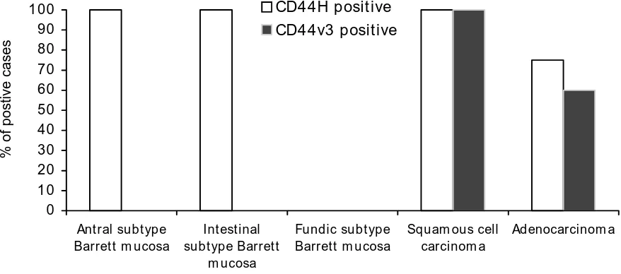 Table 2 CD44H and CD44v3 expression in Barrett oesophagus, oesophageal 