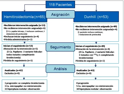 Figura 5. Diagrama CONSORT del flujo de pacientes en el estudio. 