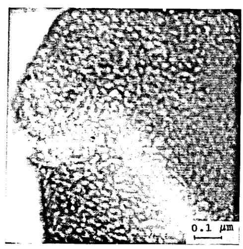 Fig.5.4.- Micrografia MET del coaposite E-2.5.