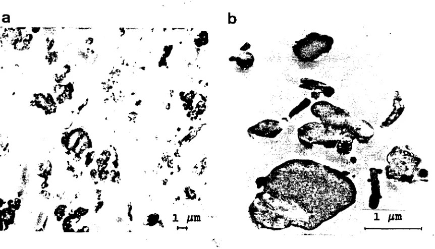 Fig.5.6.-Micrografías KET de las rezólas: