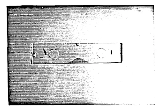 Fig.5.13.­Probeta  de flexión  ensayada.