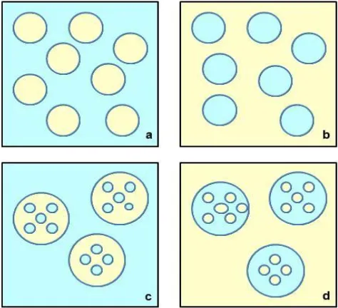 Figura 2.8  Representación de diferentes tipos de emulsiones. Emulsión aceite en agua (O/W), a; emulsión agua en aceite (W/O), b; emulsión agua en aceite en agua (W/O/W), c y emulsión aceite en agua en aceite (O/W/O), d