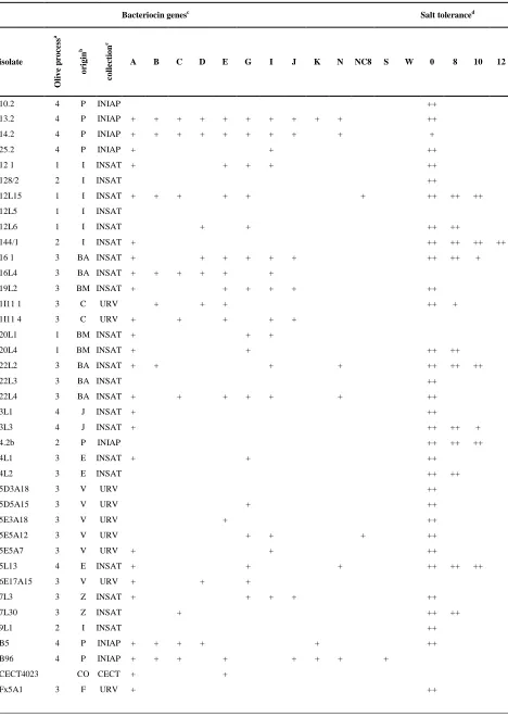 Table 2. Relation of L. pentosus isolates used for the study with their bacteriocin gene mapping and their salt tolerance