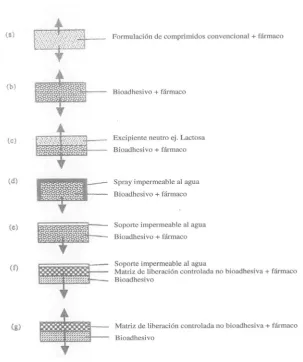 Figura 1-12 