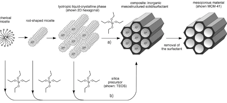 Figura 1. 6. Formación de materiales mesoporosos mediante un agente director de la estructura: (a) mecanismo de cristal líquido (True Liquid-Crystal template mechanism); y (b) 