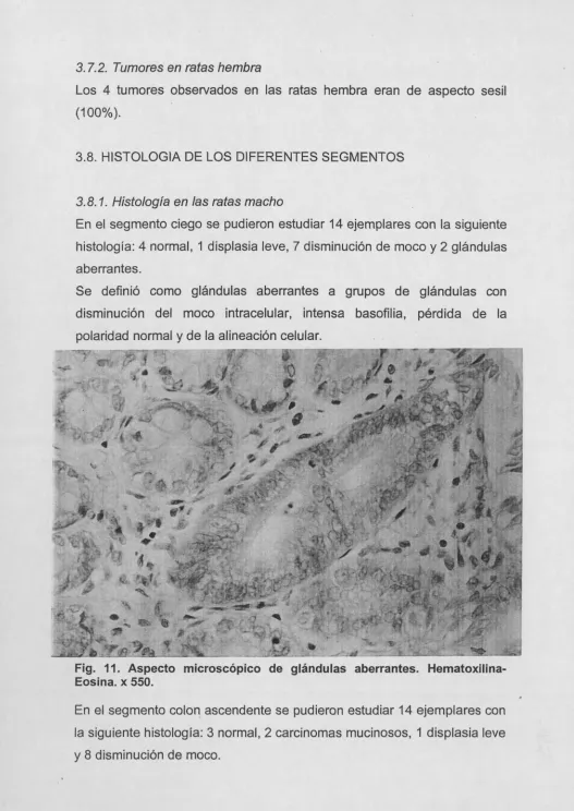 Fig. 11. AspectoEosina. x 550.