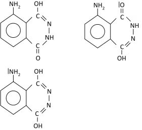 Figura 6. Formas tautómeras del luminol (incluye las fórmulas 11,12 y 13) 