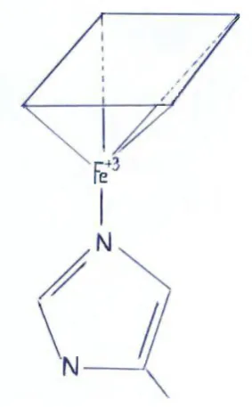 Figura 9. Hematina 
