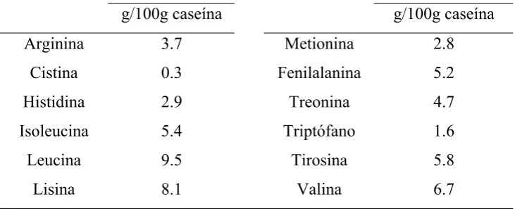 Cuadro 1. Composición de aminoácidos de la caseína. 