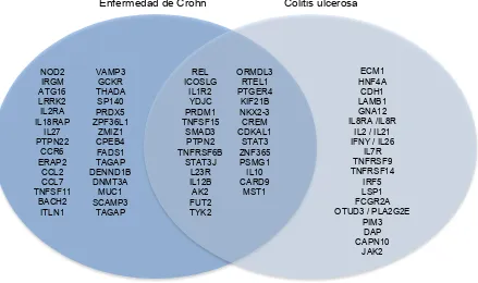 Figura 2 – Loci asociados a la Enfermedad Inflamatoria Intestinal 48