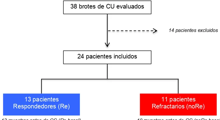 Figura 9 - Diagrama de flujo de inclusión de pacientes y recogida de muestras   