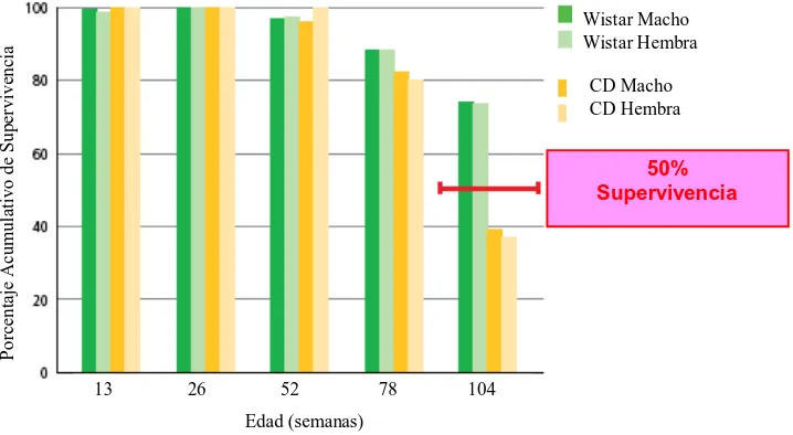 Figura II.11 Diagrama de barras de la supervivencia por semanas de las ratas Wistar y las CD 119 