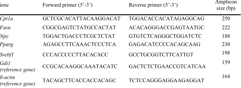 Table 1. Nucleotide sequences of primers used for RT-PCR amplification and size of the PCR products