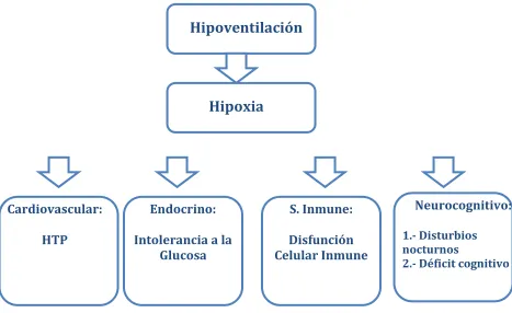 Fig 2:  Efectos de la hipoventilación [34] 