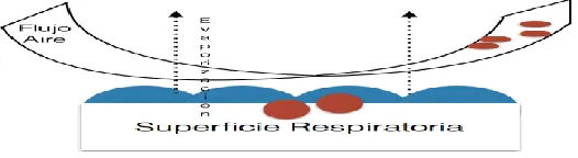 Fig. 1: Esquema del CAE[264].  