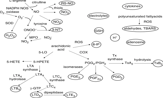 Fig.2:  Biomarcadores detectables en el CAE [270].   