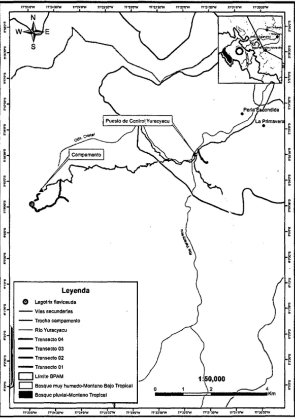 Fig. 01. Mapa de transectos y observaciones en la cuenca del río Yuracyacu. 