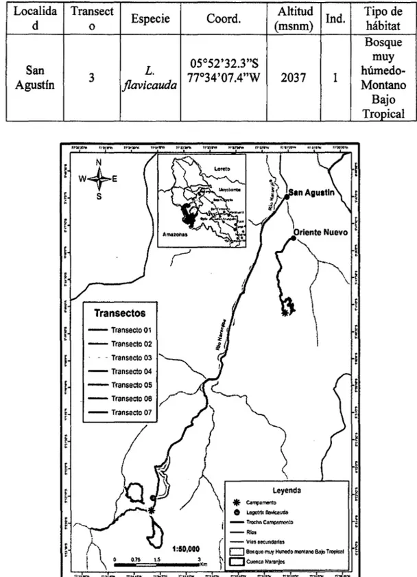 Tabla 03. Registro de primates en la cuenca del río Naranjos  Local ida 