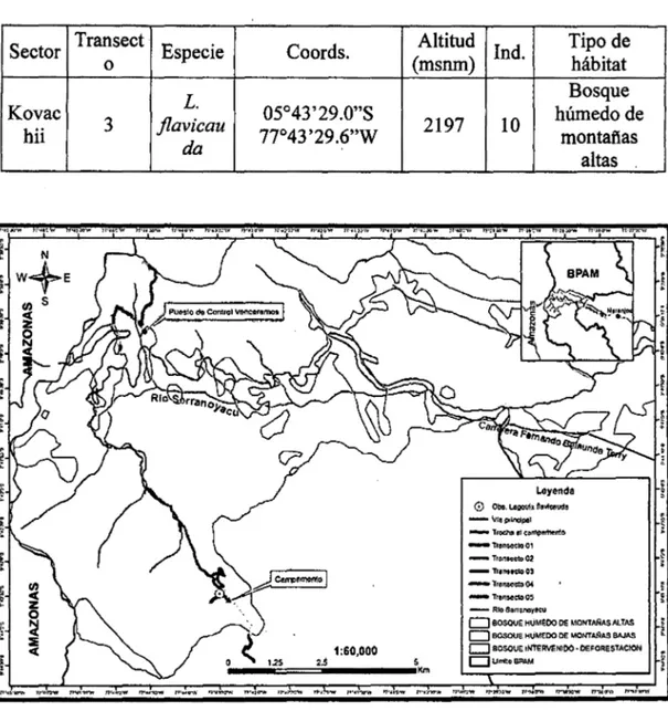 Tabla 05. Registro de primates en la cuenca del río Serranoyacu 