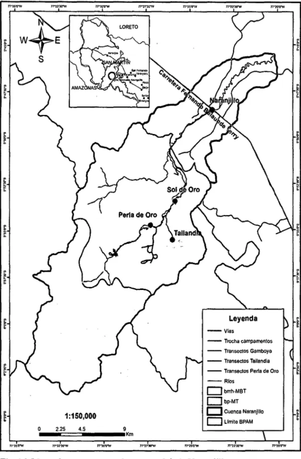 Fig. 06. Mapa de transectos en la cuenca del río Naranjillo. 