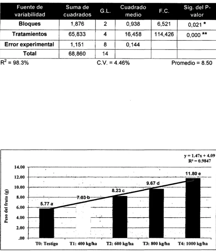 Gráfico 6:  Prueba  de rangos  múltiples de  Cunean  (PS0.05)  para  promedios de  tratamientos en el peso del fruto 