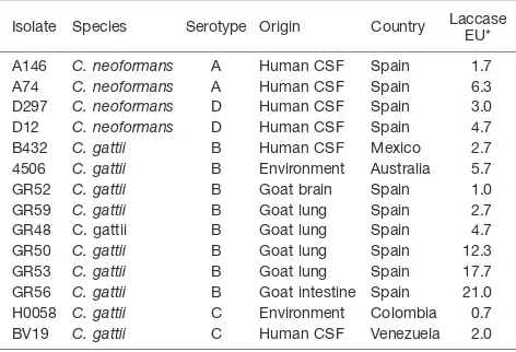 Table 1. Serotypes and origin of 14 isolates of C. neoformansC. gattii and  analyzed for laccase activity.