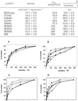 FIG. 3. Kinetic analysis of wild type and different mutants of