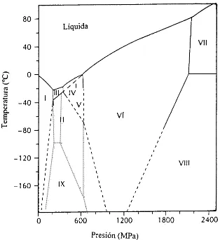 Figura 1: Transiciones de fase del agua bajo presión. Diferentes