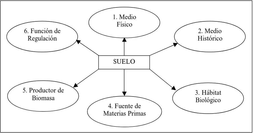 Figura 1.1.- Esquema de las funciones generales del suelo (Blum, 1990).  