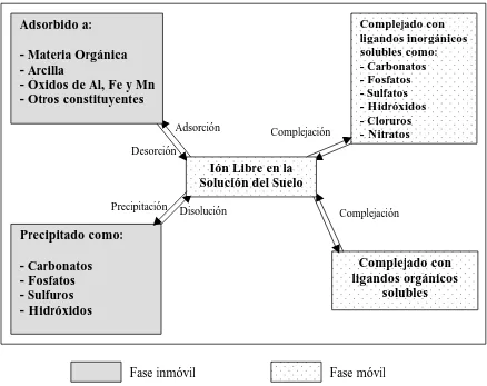 Figura 1.3.- Procesos y componentes del suelo que controlan la movilidad de los metales pesados (McLean y Bledsoe, 1992; Adriano, 2001)