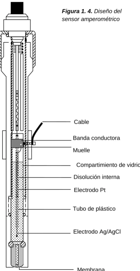 Figura 1. 4. Diseño del sensor amperométrico 