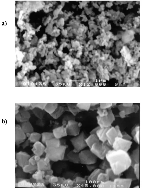 Fig. 2. Scanning electron micrograph of commercial MgOC2 (a) and the