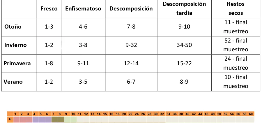 Figura 3.2.1. Representación gráfica de la duración en días de las distintas etapas del proceso de descomposición del cadáver para las cuatro estaciones del año en la localidad de El Abuznel