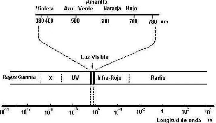 Figura I.1: La luz visible y el espectro electromagnético