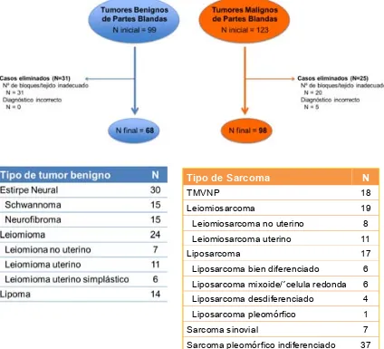 Figura 1. Proceso de selección de los pacientes objeto de estudio.  