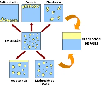 Figura 1.8 Esquema de los procesos de desestabilización de una emulsión que pueden conllevar a la total 