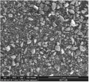 Figura 4.4 Micrografía SEM del aspecto general del LG-MC 