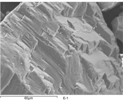 Figura 4.5 Micrografía SEM de las partículas del LG-MC 