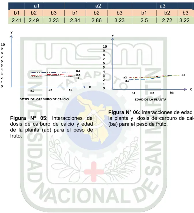 Cuadro  N°  09:  Datos  para  las  figuras  de  las  interacciones  (ab  y  ba)  para el  peso de fruto