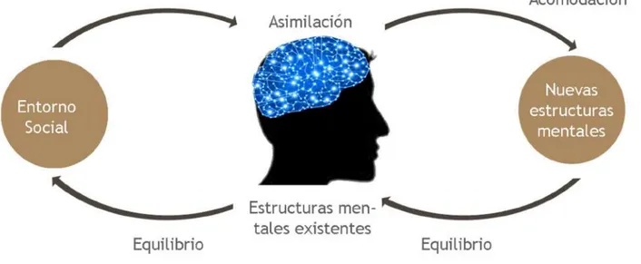 Ilustración 2. Representación de las estructuras lógicas y sus etapas de asimilación y acomodación