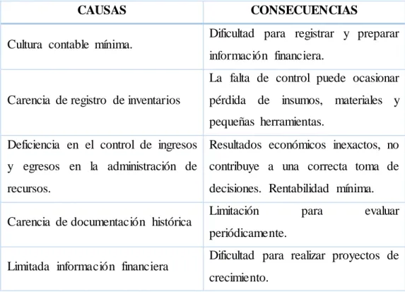 Tabla No.  1: Causas y Consecuencias 
